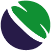 Capo Projects Group