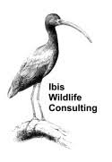 Ibis Wildlife Consulting