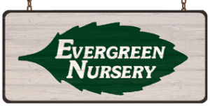 Evergreen Nursery dba Evergreen Organics
