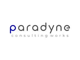 Paradyne Consulting Works, LLC