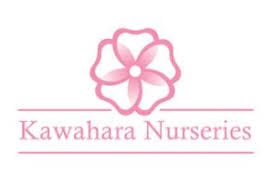 Kawahara Nurseries, Inc.