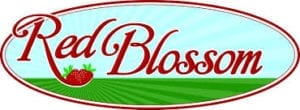 Red Blossom Sales