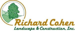 Richard Cohen Landscape