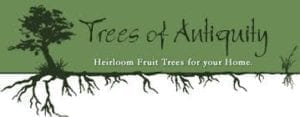 Trees of Antiquity, LLC