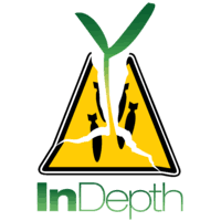 InDepth Corporation